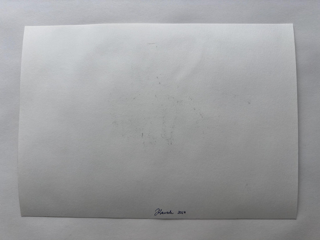 Spider, charcoal and watercolor on paper, original work